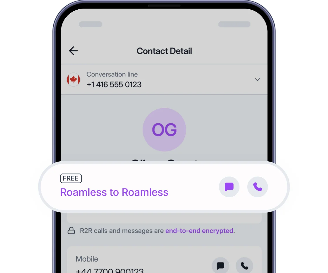 Roamless to roamless communication hero image